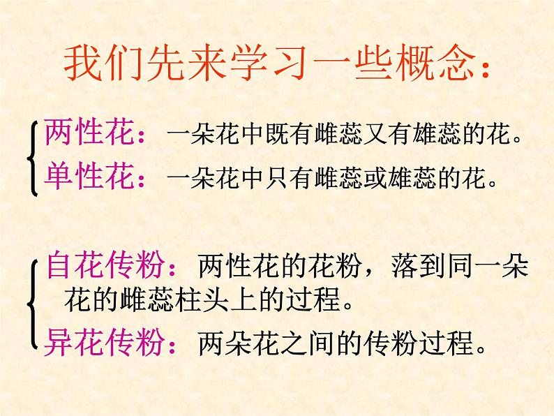 高中人教版生物必修2教学课件：1.1 孟德尔的豌豆杂交实验（一）105