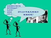高中人教版生物必修2教學(xué)課件：3.3 dna的復(fù)制1 word版含答案