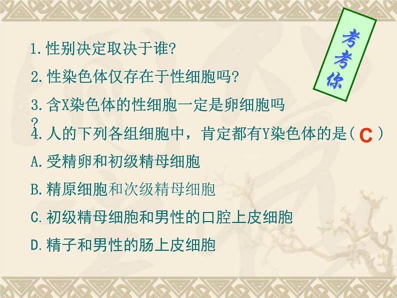 高中人教版生物必修2教学课件：2.3 伴性遗传2 word版含答案第5页