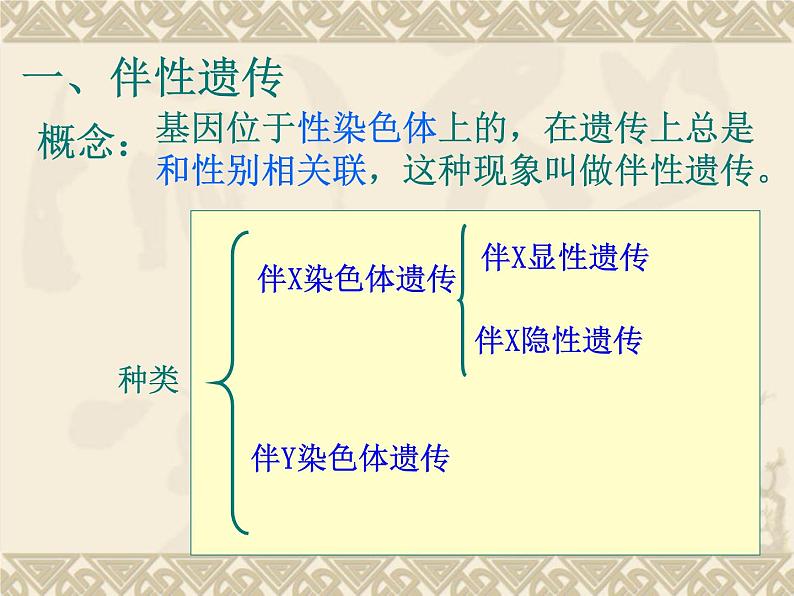 高中人教版生物必修2教学课件：2.3 伴性遗传2 word版含答案第6页