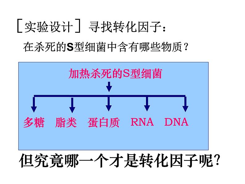 高中人教版生物必修2教学课件：3.1 dna是主要的遗传物质2 word版含答案08