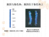 高中人教版生物必修2教学课件：3.4 基因是有遗传效应的dna片段2 word版含答案