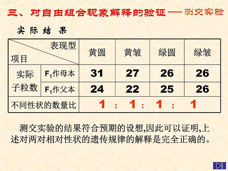 高中人教版生物必修2教学课件：1.2 孟德尔的豌豆杂交实验（二）206