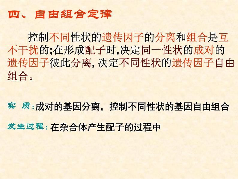 高中人教版生物必修2教学课件：1.2 孟德尔的豌豆杂交实验（二）207