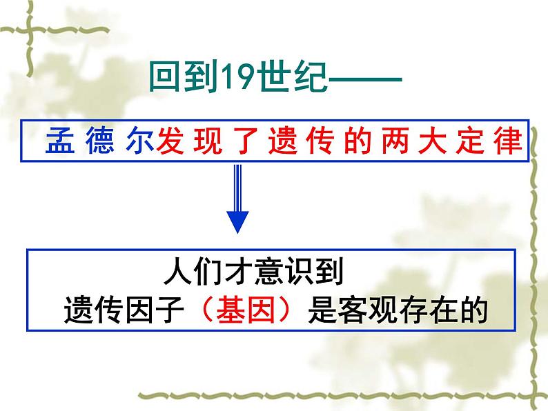 高中人教版生物必修2教学课件：2.2 基因在染色体上2 word版含答案第2页