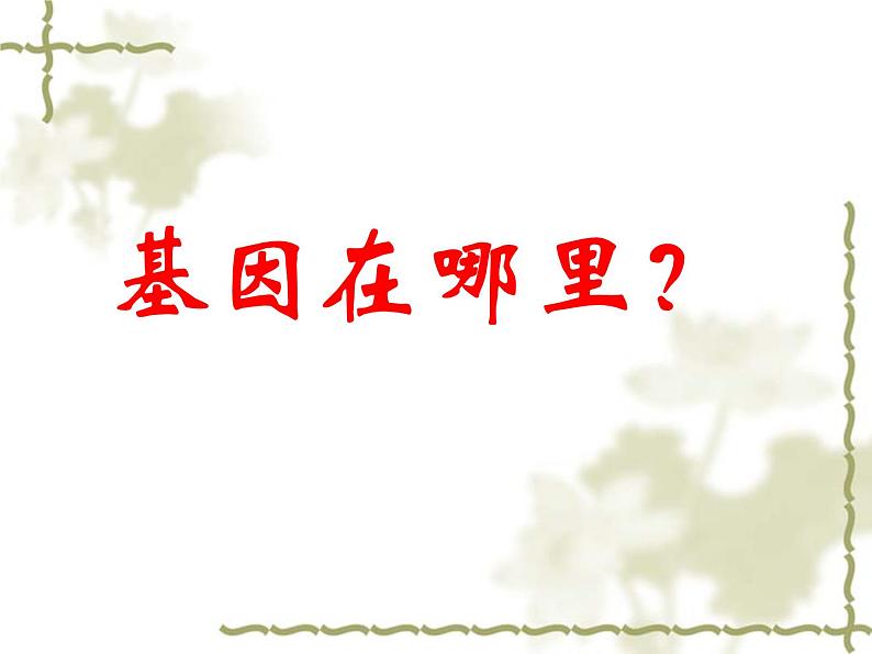 高中人教版生物必修2教学课件：2.2 基因在染色体上2 word版含答案第3页