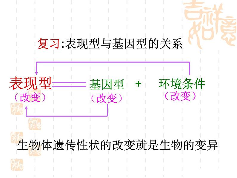 高中人教版生物必修2教学课件：5.1 基因突变和基因重组1 word版含答案第2页