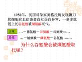 高中人教版生物必修2教学课件：5.1 基因突变和基因重组1 word版含答案