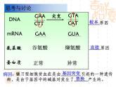 高中人教版生物必修2教学课件：5.1 基因突变和基因重组1 word版含答案