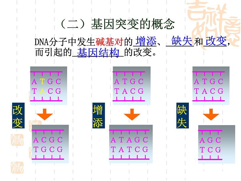 高中人教版生物必修2教学课件：5.1 基因突变和基因重组1 word版含答案第7页