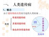 高中人教版生物必修2教学课件：5.3 人类遗传病1 word版含答案