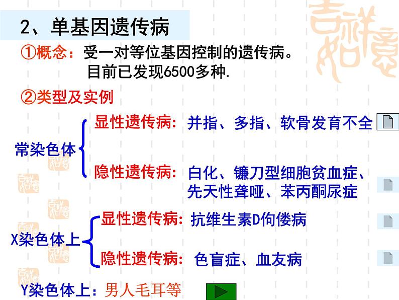 高中人教版生物必修2教学课件：5.3 人类遗传病1 word版含答案第4页