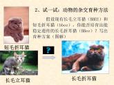 高中人教版生物必修2教学课件：6.1 杂交育种与诱变育种2 word版含答案