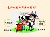 高中人教版生物必修2教学课件：6.2 基因工程及其应用1 word版含答案