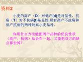 高中人教版生物必修2教学课件：6.1 杂交育种与诱变育种1 word版含答案