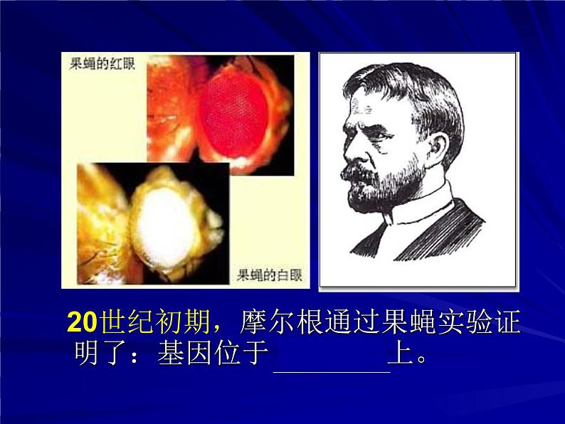 高中人教版生物必修2教学课件：3.1 dna是主要的遗传物质1 word版含答案第3页