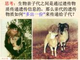 高中人教版生物必修2教學(xué)課件：3.3 dna的復(fù)制2 word版含答案