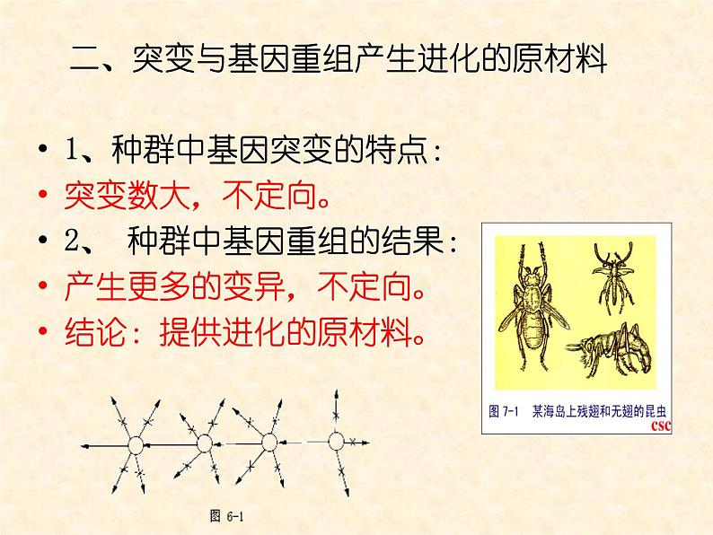 高中人教版生物必修2教学课件：7.2 现代生物进化理论的主要内容1 word版含答案07