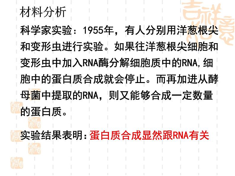 高中人教版生物必修2教学课件：4.1 基因指导蛋白质的合成1 word版含答案04