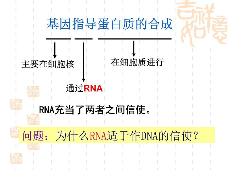 高中人教版生物必修2教学课件：4.1 基因指导蛋白质的合成1 word版含答案06