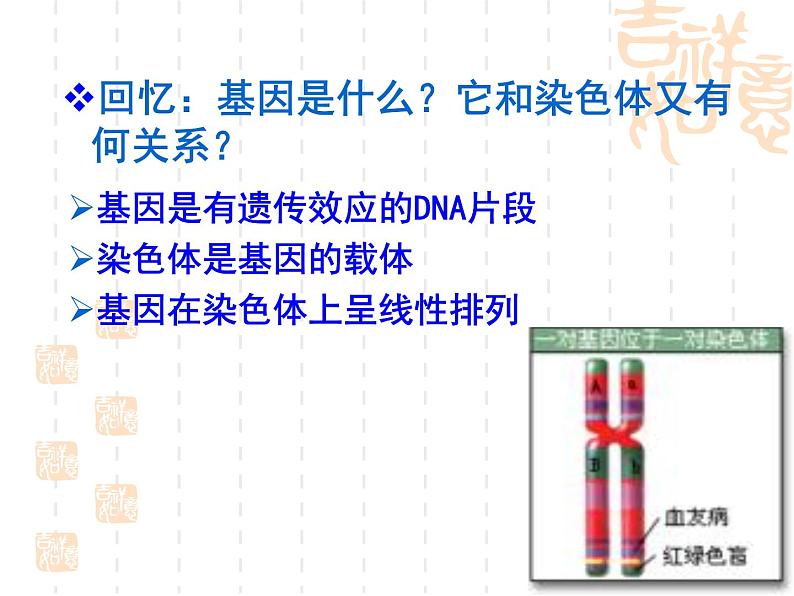 高中人教版生物必修2教学课件：5.2 染色体变异1 word版含答案02