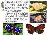 高中人教版生物必修2教学课件：7.1 现代生物进化理论的由来2 word版含答案