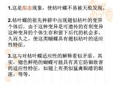 高中人教版生物必修2教学课件：7.1 现代生物进化理论的由来2 word版含答案