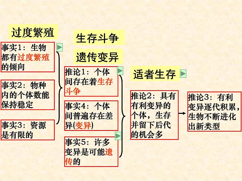 高中人教版生物必修2教学课件：7.1 现代生物进化理论的由来1 word版含答案08