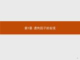 高中生物人教版必修2课件：1.1 孟德尔的豌豆杂交实验（一）