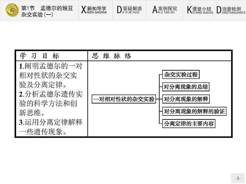 高中生物人教版必修2课件：1.1 孟德尔的豌豆杂交实验（一）03