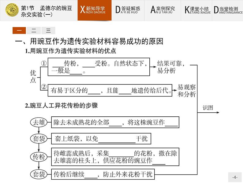 高中生物人教版必修2课件：1.1 孟德尔的豌豆杂交实验（一）04