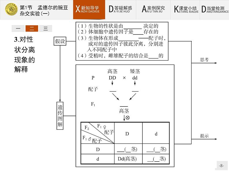 高中生物人教版必修2课件：1.1 孟德尔的豌豆杂交实验（一）08