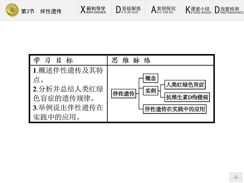 高中生物人教版必修2课件：2.3 伴性遗传02