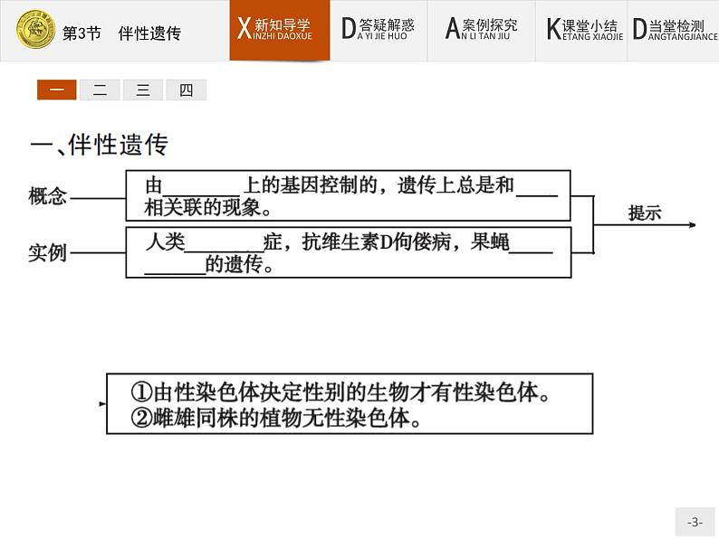 高中生物人教版必修2课件：2.3 伴性遗传03