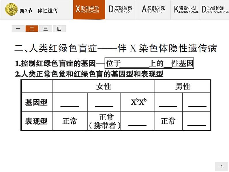 高中生物人教版必修2课件：2.3 伴性遗传04