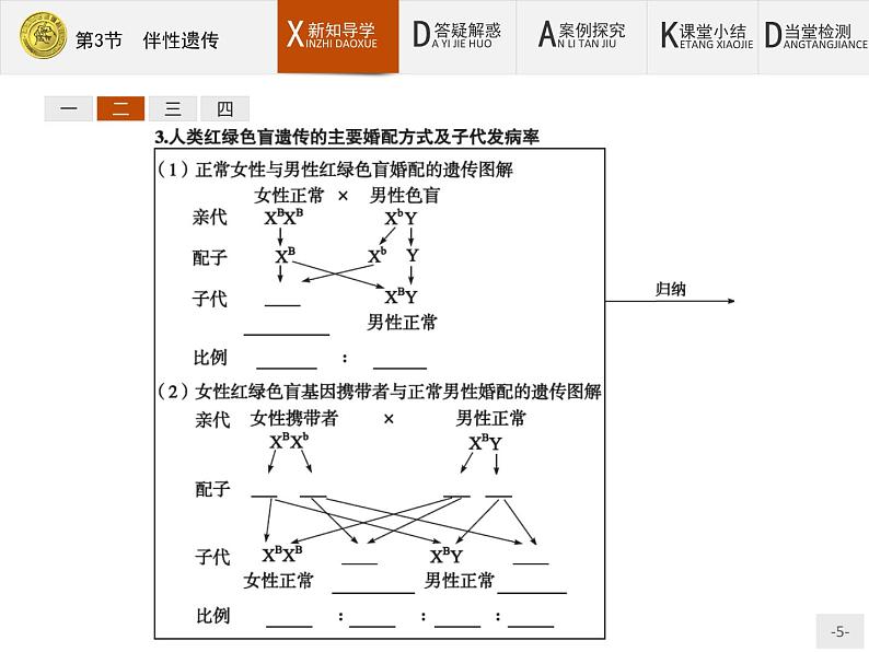 高中生物人教版必修2课件：2.3 伴性遗传05