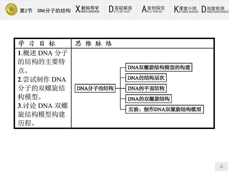 高中生物人教版必修2课件：3.2 DNA分子的结构02