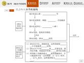 高中生物人教版必修2课件：3.2 DNA分子的结构