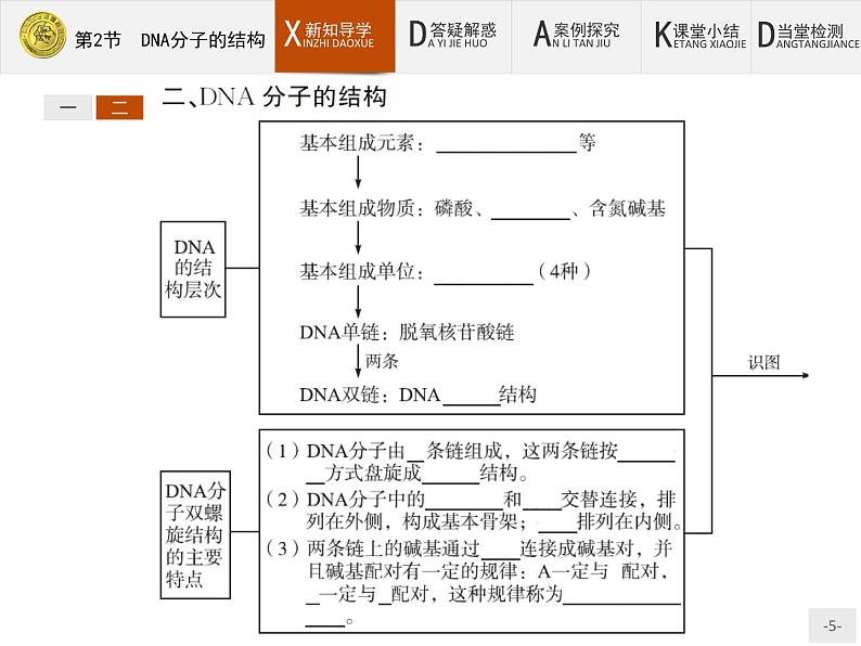 高中生物人教版必修2课件：3.2 DNA分子的结构05