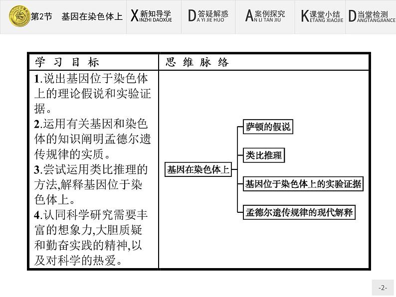 高中生物人教版必修2课件：2.2 基因在染色体上02