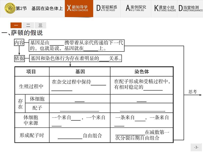 高中生物人教版必修2课件：2.2 基因在染色体上03