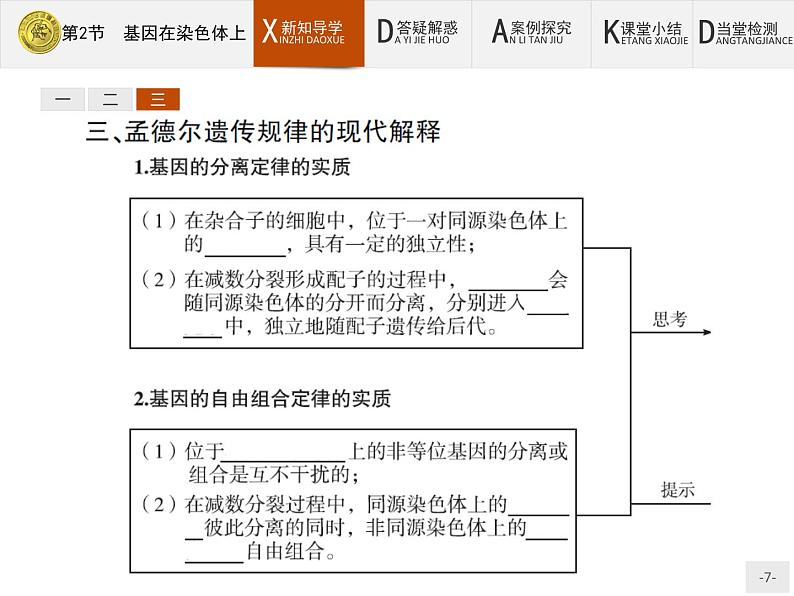 高中生物人教版必修2课件：2.2 基因在染色体上07