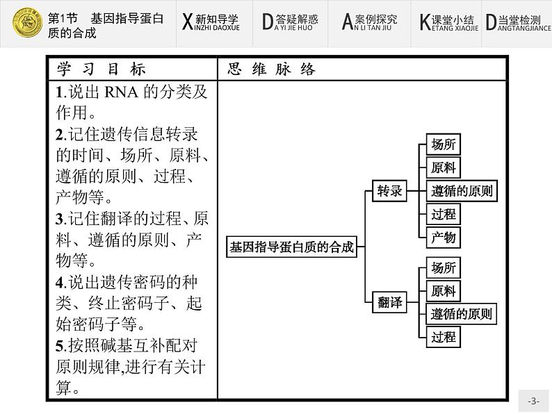 高中生物人教版必修2课件：4.1 基因指导蛋白质的合成03