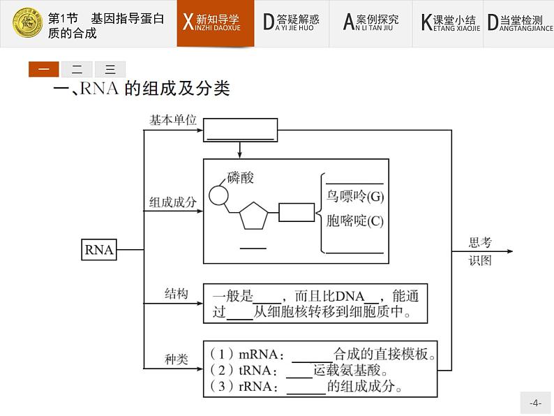 高中生物人教版必修2课件：4.1 基因指导蛋白质的合成04