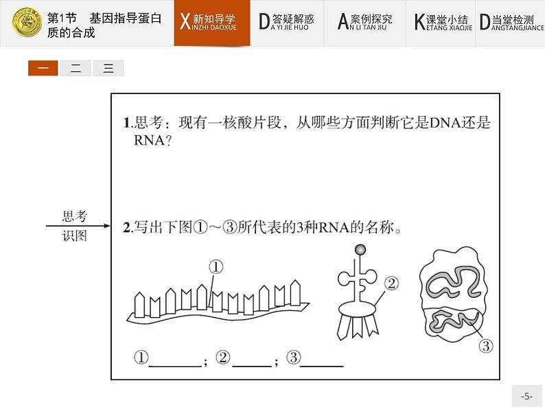 高中生物人教版必修2课件：4.1 基因指导蛋白质的合成05