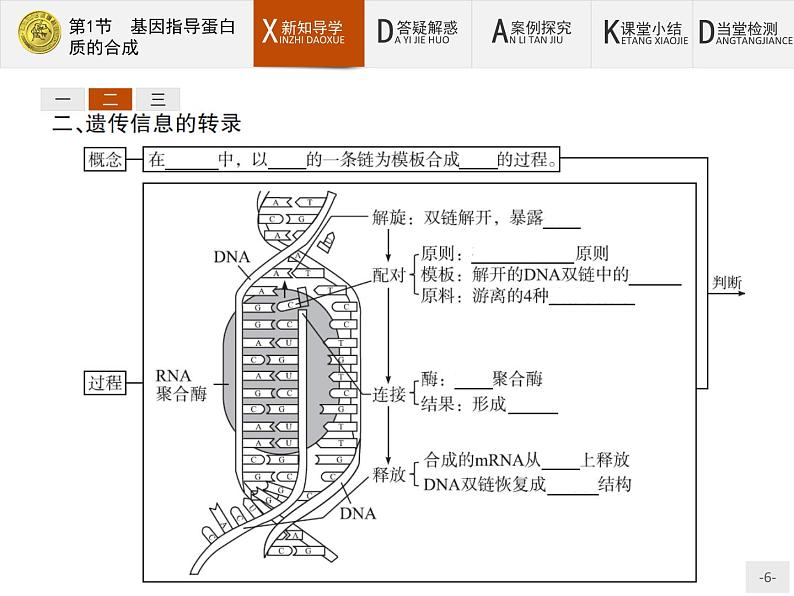 高中生物人教版必修2课件：4.1 基因指导蛋白质的合成06