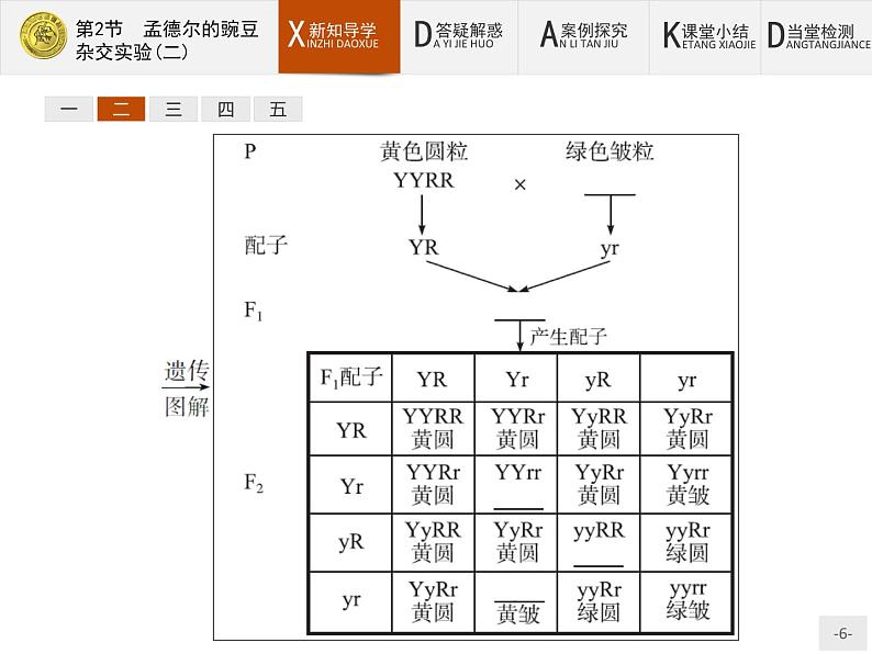 高中生物人教版必修2课件：1.2 孟德尔的豌豆杂交实验（二）第6页