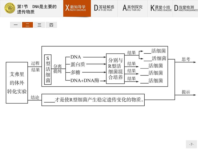 高中生物人教版必修2课件：3.1 DNA是主要的遗传物质07