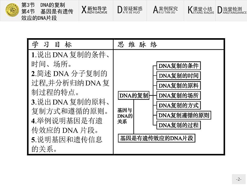 高中生物人教版必修2课件：3.3-4 DNA的复制-基因是有遗传效应的DNA片段02