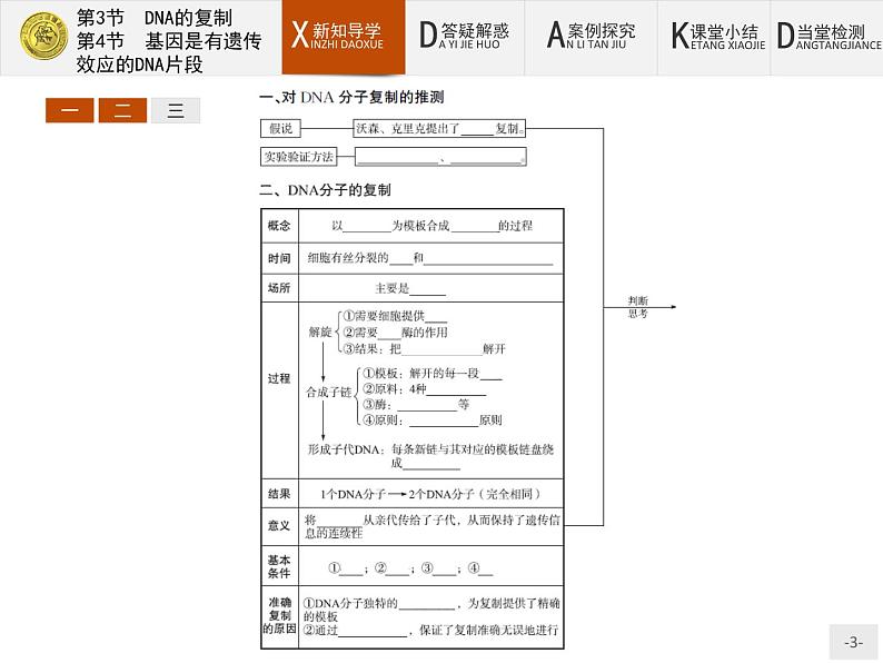 高中生物人教版必修2课件：3.3-4 DNA的复制-基因是有遗传效应的DNA片段03